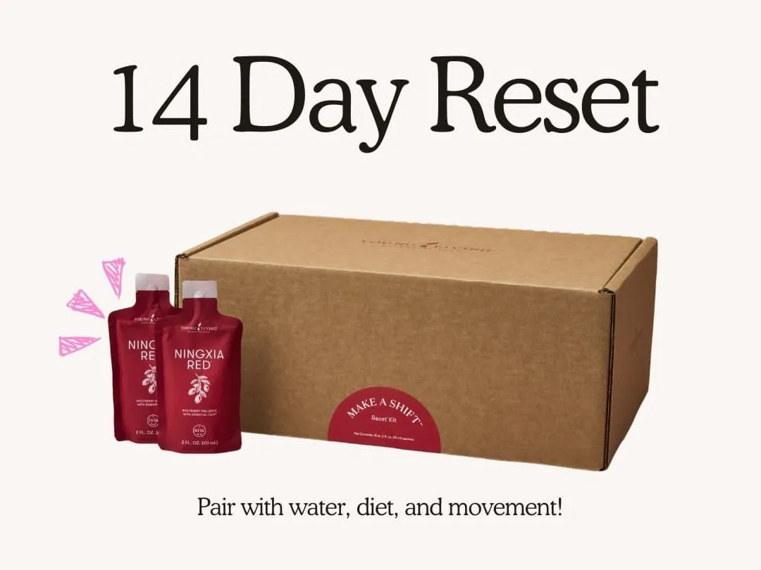 Make a Shift Reset Kit
